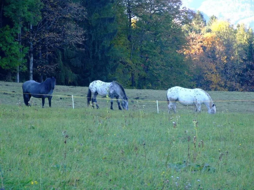 Ferienwohnung Im Lehnhaeusl Berchtesgaden Lägenhet
